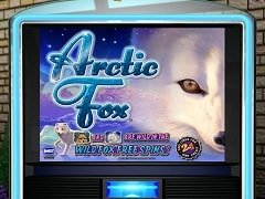 Ледяные Чудеса Слоты