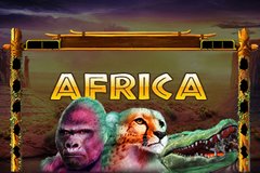 Джек и слоты бобовых