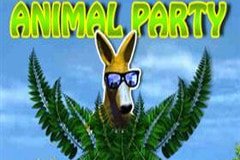 Tesoro Del Amazonas Слот