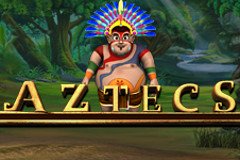 Мульти дикие слоты