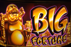 Игровой автомат Amazonia