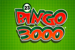 Zen Panda Игровой автомат