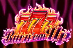 Игровой автомат Bear Mountain