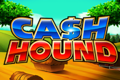 Слоты восточной панды