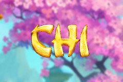 Полицейский слот