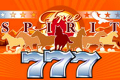 Дополнительные слоты Джокер