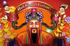 Щиты дикого игрового автомата